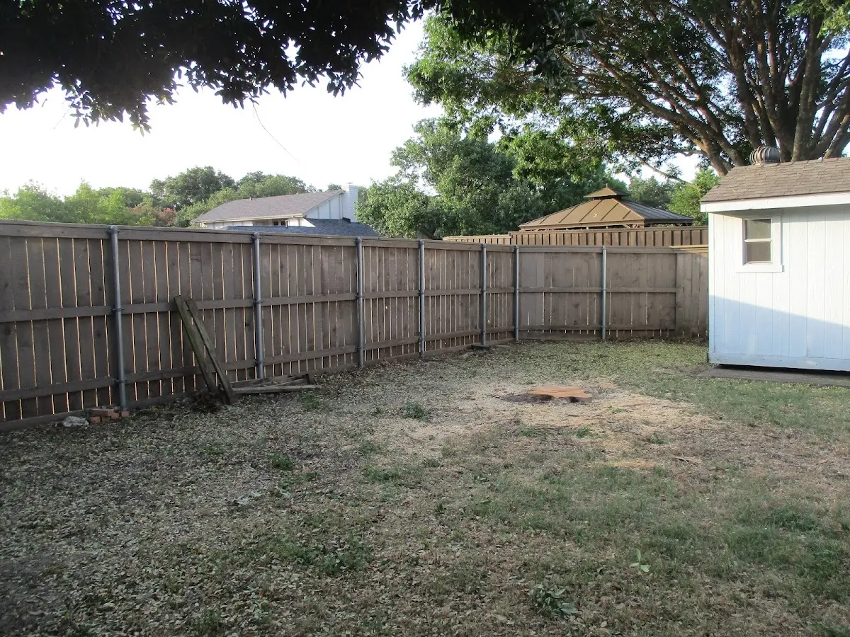 Cleared yard after professional tree removal in Leicester